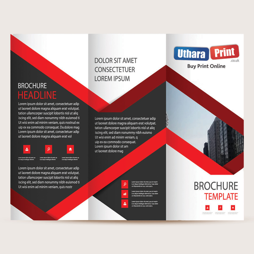 668688A4 Roll Folded DL Leaflets.jpg